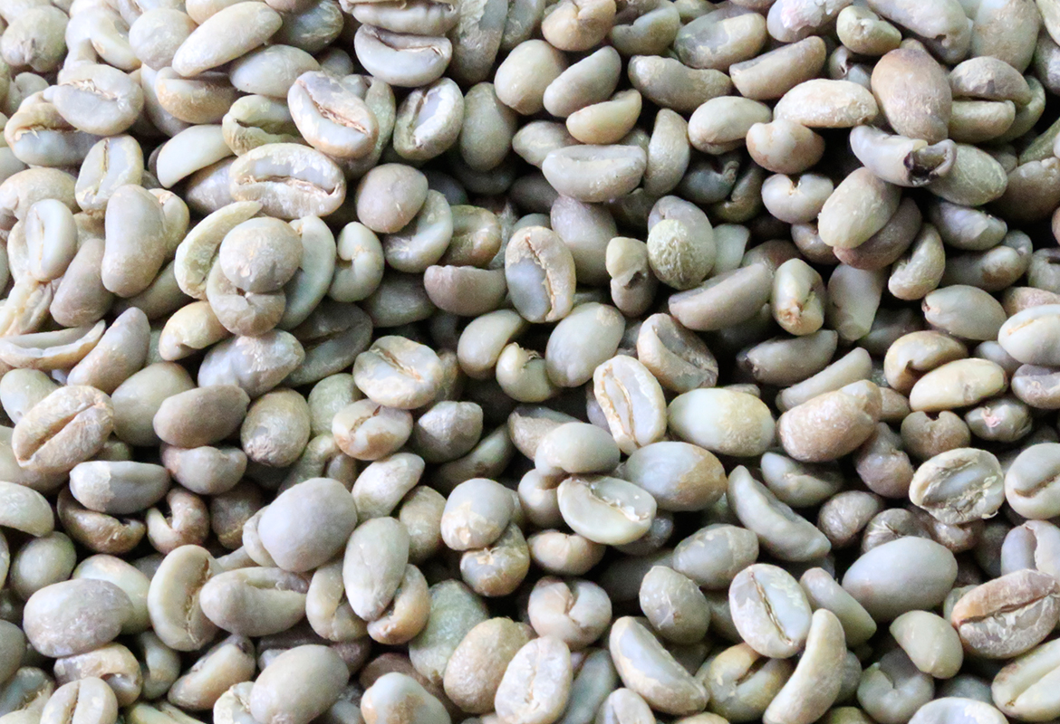 Djimmah Coffee Grade 4 and 5