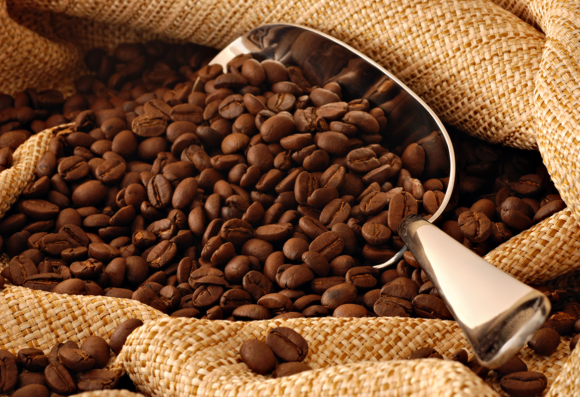 Lekempt Coffee Grade 4 and 5