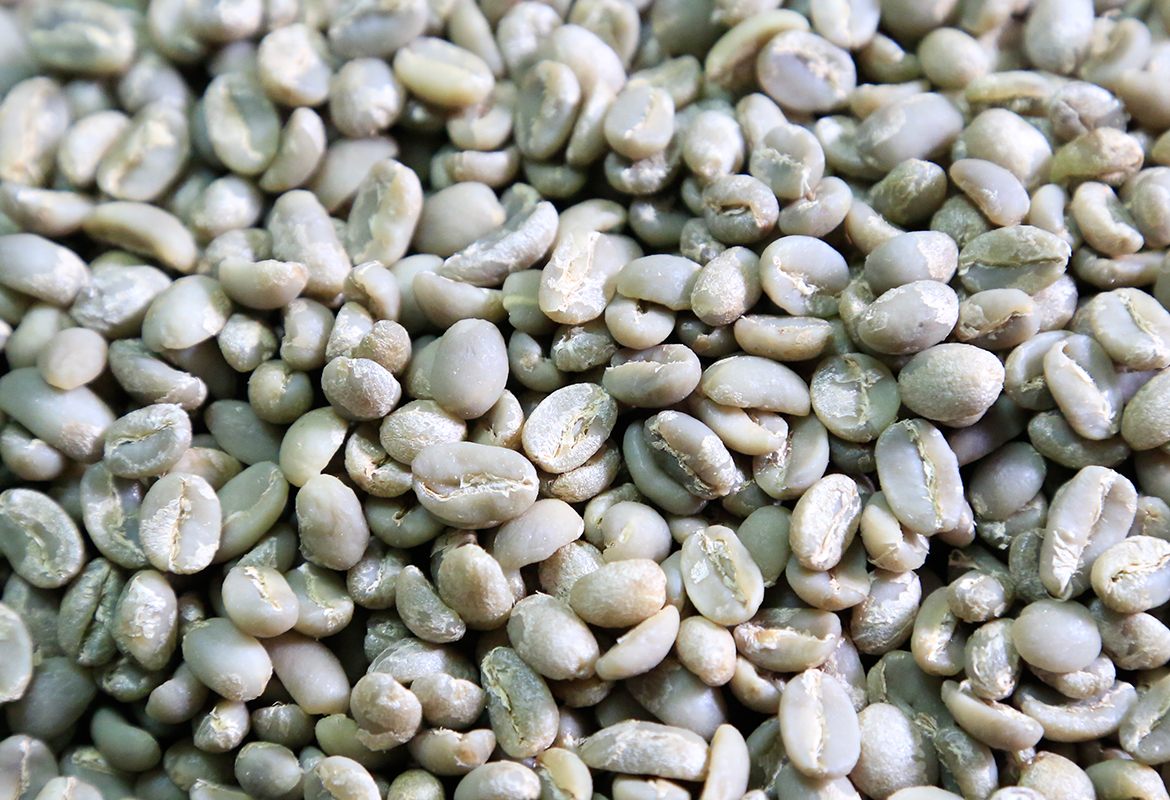 Sidamo Coffee Grade 4