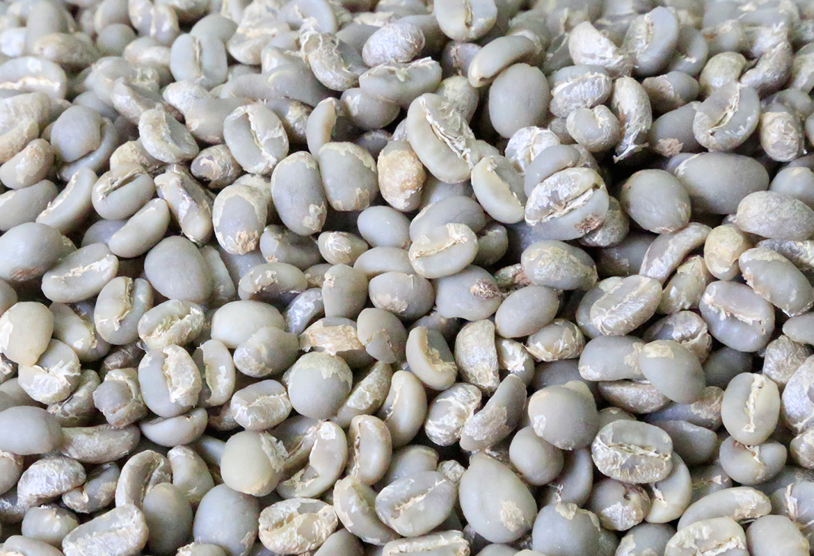 Tepi Coffee Grade 2