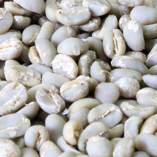 Bebeka Coffee Grade 2