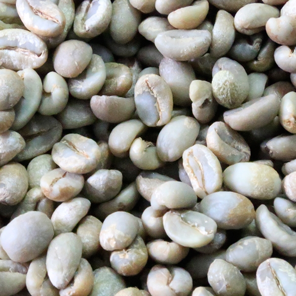 Djimmah Coffee Grade 4 and 5