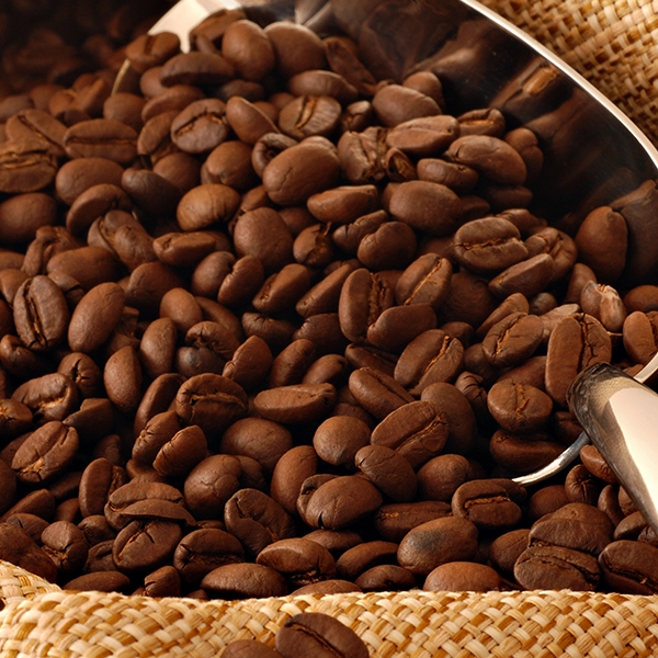 Lekempt Coffee Grade 4 and 5