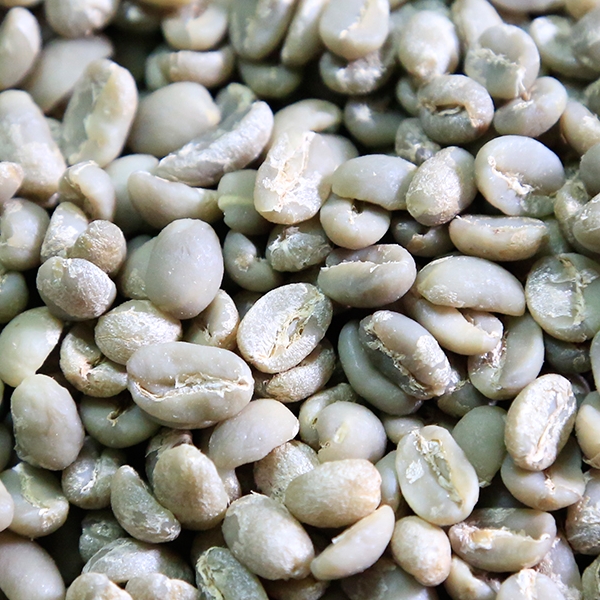 Sidamo Coffee Grade 4