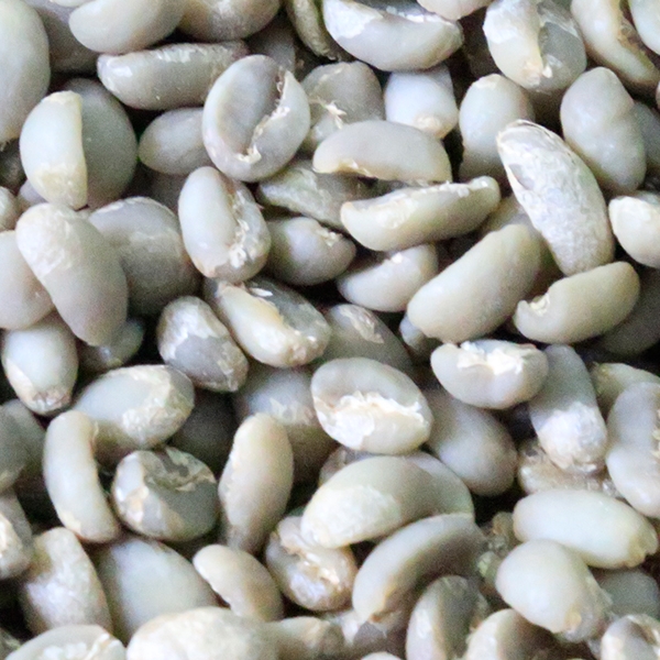 Yirgachafee Coffee Grade 2